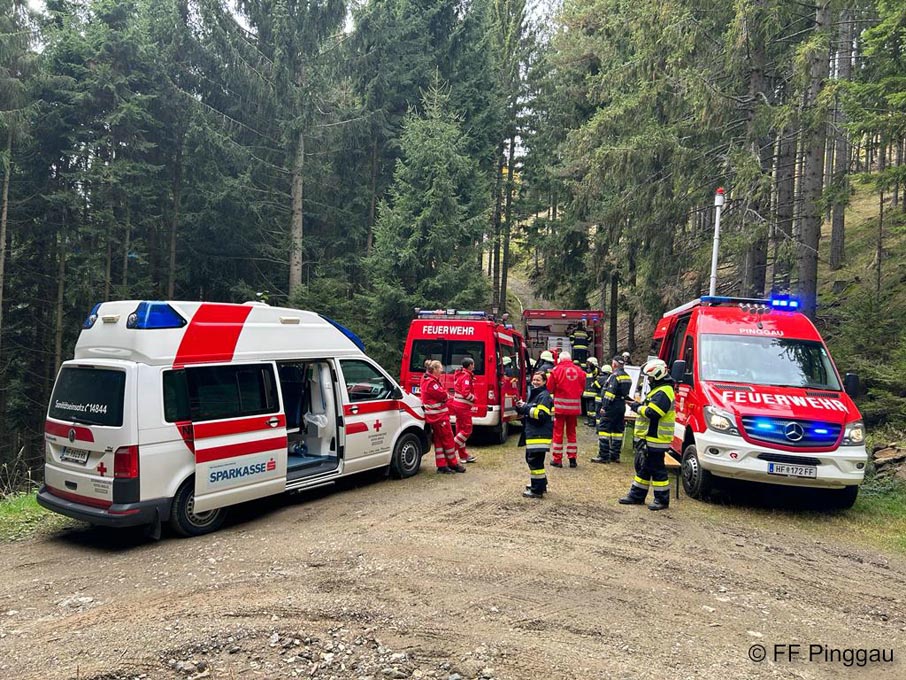Krankenwagen Feuerwehren Waldbrandübung im Wechselgebiet