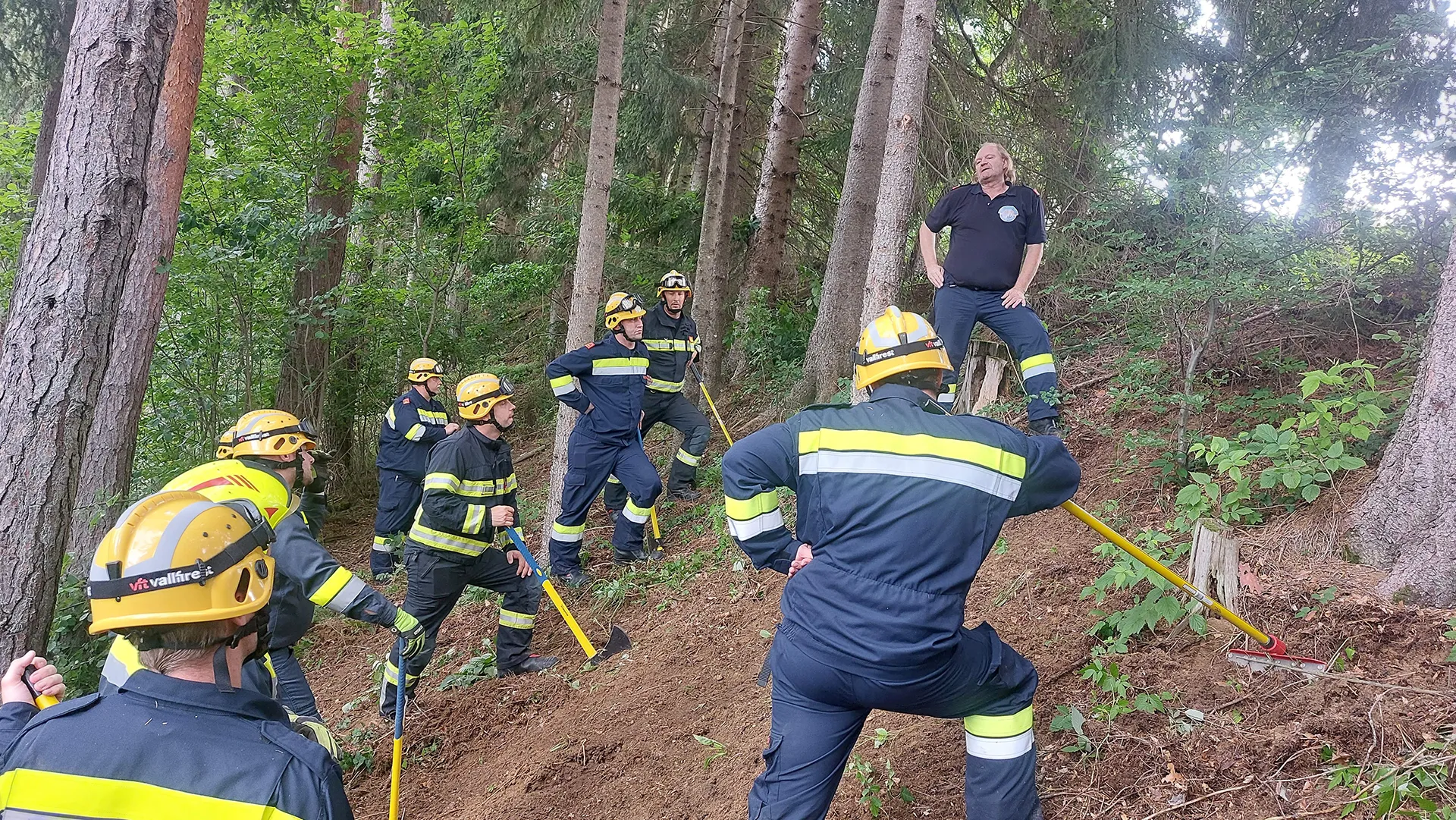 Feuerwehrmänner mit gelben Helmen hören einem Vortrag im Wald zu
